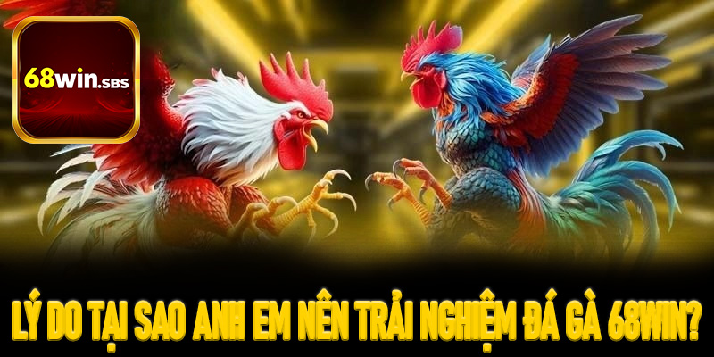Lý do tại sao anh em nên trải nghiệm đá gà 68Win?