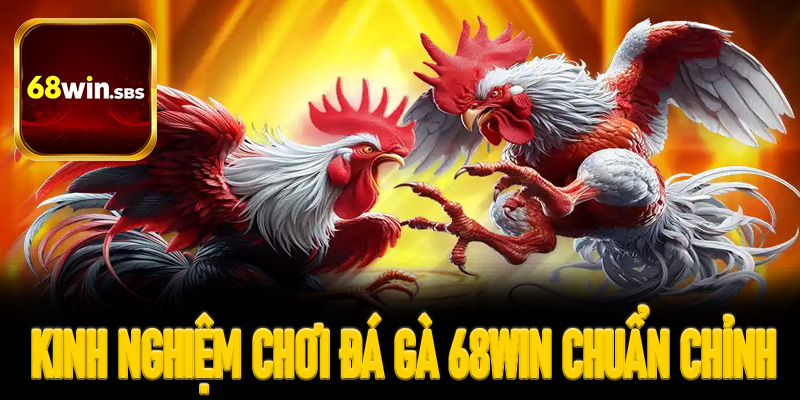 Kinh nghiệm chơi đá gà 68Win chuẩn chỉnh từ sư kê